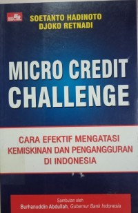 Image of Micro Credit Challenge